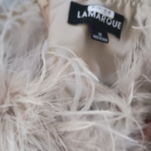 LaMarque Zaina Ostrich Feather Strapless Top - Picture 4 of 8